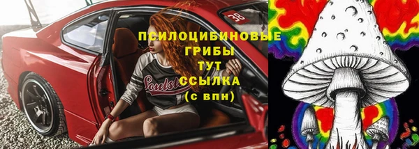 мдма Новозыбков